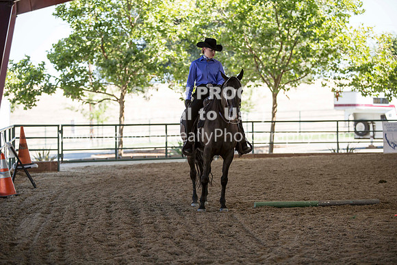 R317_Trail_4330