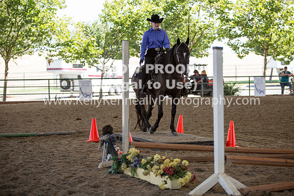 R317_Trail_4332