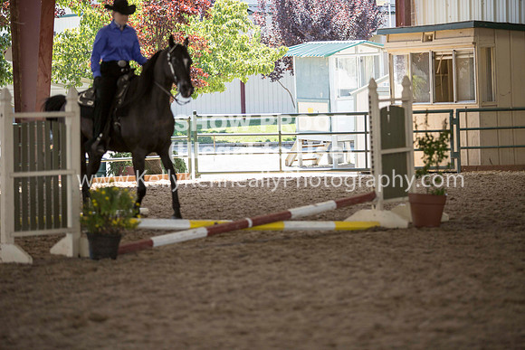 R317_Trail_4339