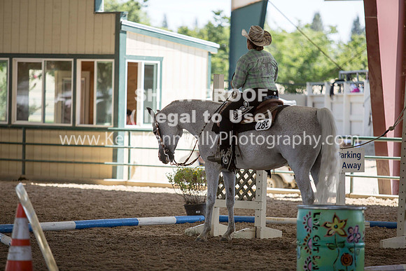 R317_Trail_4361