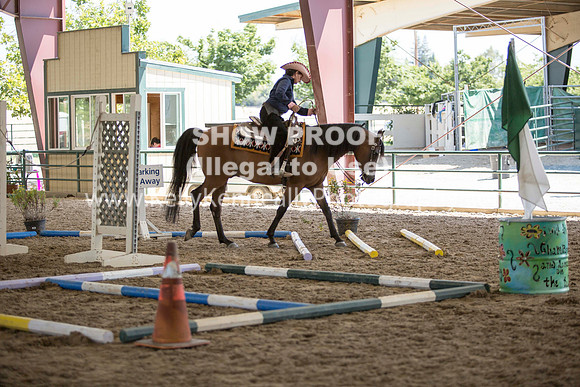 R317_Trail_4411