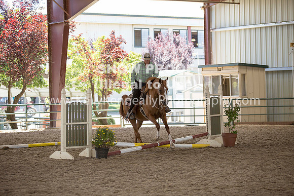 R317_Trail_4417