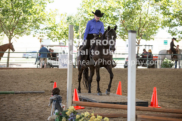 R317_Trail_4423
