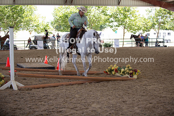 R317_Trail_4438