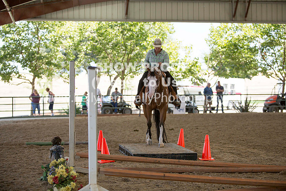 R317_Trail_4451