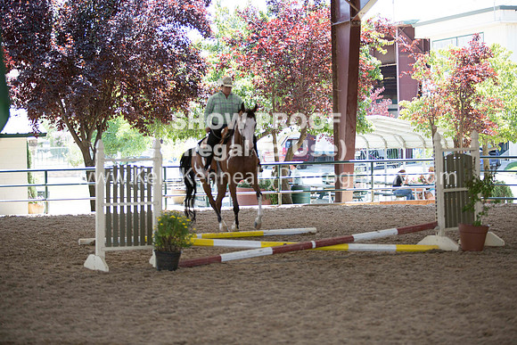 R317_Trail_4457