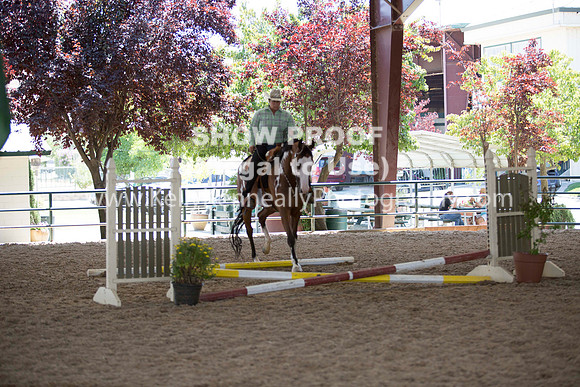 R317_Trail_4459
