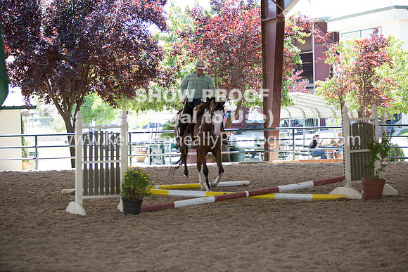 R317_Trail_4460