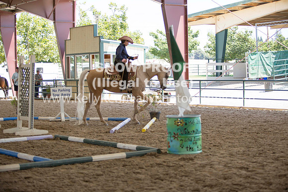 R317_Trail_4487