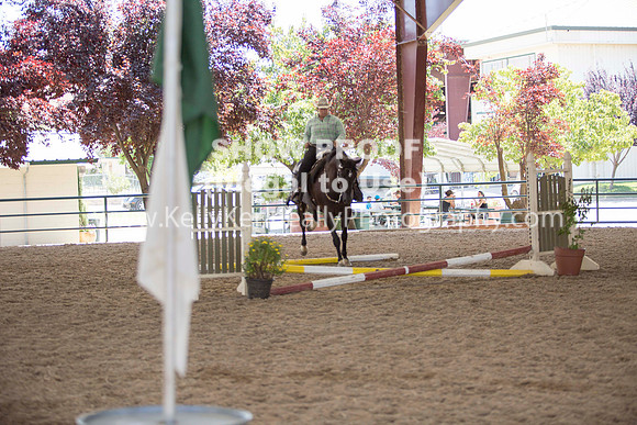 R317_Trail_4491