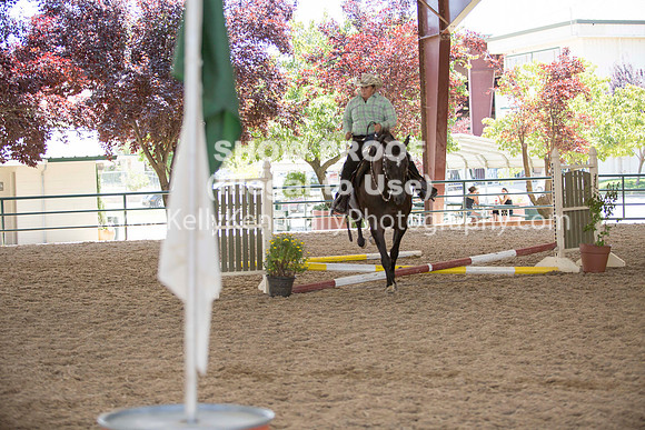 R317_Trail_4496