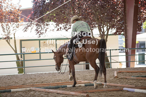 R317_Trail_4515