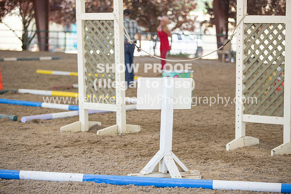 R317_Trail_4520