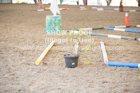 R317_Trail_4521