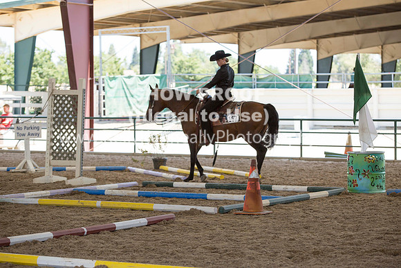 R317_Trail_4609