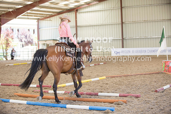 R317_Trail_4617