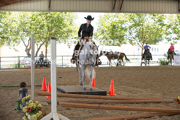 R317_Trail_4626
