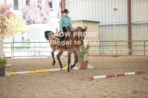 R317_Trail_4644