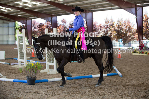 R317_Trail_4713