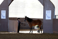 R317_Class3_4131