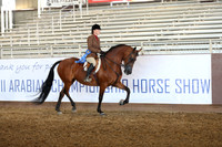 Class 7 - HA Hunter Pl/Ladies to Ride