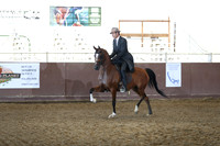 Class 9 - Arabian Country English Pl/Jr Horse 5 & Under