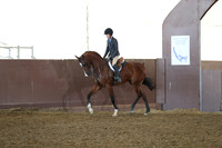 Class 11 - Arabian Hunter Pl/JOTR 13 Yrs & Under