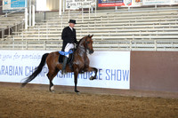 Class 12 - Arabian English Show Hack/Open