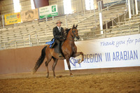 Class 14 - HA Country English Pl/Jr Horse