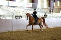 Class 17 - Saddle Seat Equitation/JTR 18 Yrs/Under