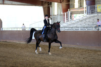 Class 18 - AHA Saddle Seat Equitation Medal/JTR 18 Yrs/Under