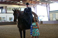 Class 44 - HA Ladies Side Saddle/Open