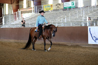 Class 45 - Arabian Western Pl/JOTR 14-18 Yrs