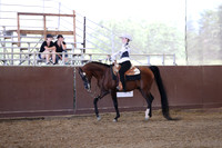 Class 50 - Arabian Western Pl/AAOTR 19-49 Yrs