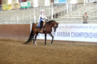 Class 48 - Arabian Western Pl/Ladies to Ride