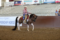 Class 51 - HA Western Pl/Jr Horse