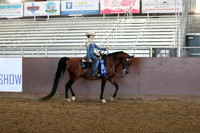 Class 52 - Arabian Western Pl/JOTR 13 & Under