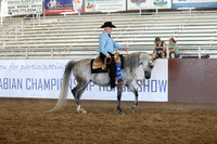 Class 55 - Arabian Western Pl/AAOTR 50 Yrs/Over