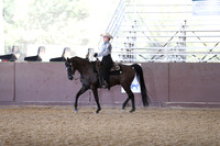 Class 62 - Western Horsemanship/JTR 18 & Under
