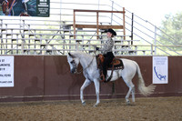 Class 64 - AHA Western Horsemanship/JTR 18 Yrs/Under