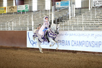 Class 65 - Arabian Mounted Native Costume