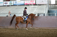 Class 67 - HA Hunter Pl/AATR Choice/Elite