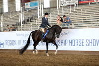 Class 68 - Arabian Hunter Pl/Mares & Stallions