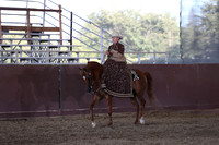 Class 71 - Arabian Ladies Side Saddle/Open