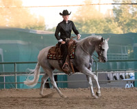 Reining