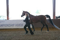 Class 90 - Arabian Stallion Breeding/4 Yrs/OverATH