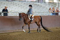 Class 98 - Walk/Trot Hunter Pl/Riders 10 & Under