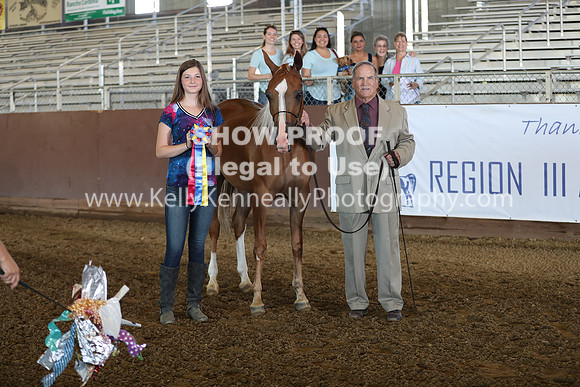 R317_Class84_5491