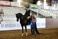 Class 101 - Arabian Hunter Pl/Open