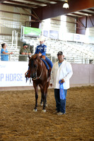 Class 129 - Walk/Jog/Western Pl/Riders 10 & Under